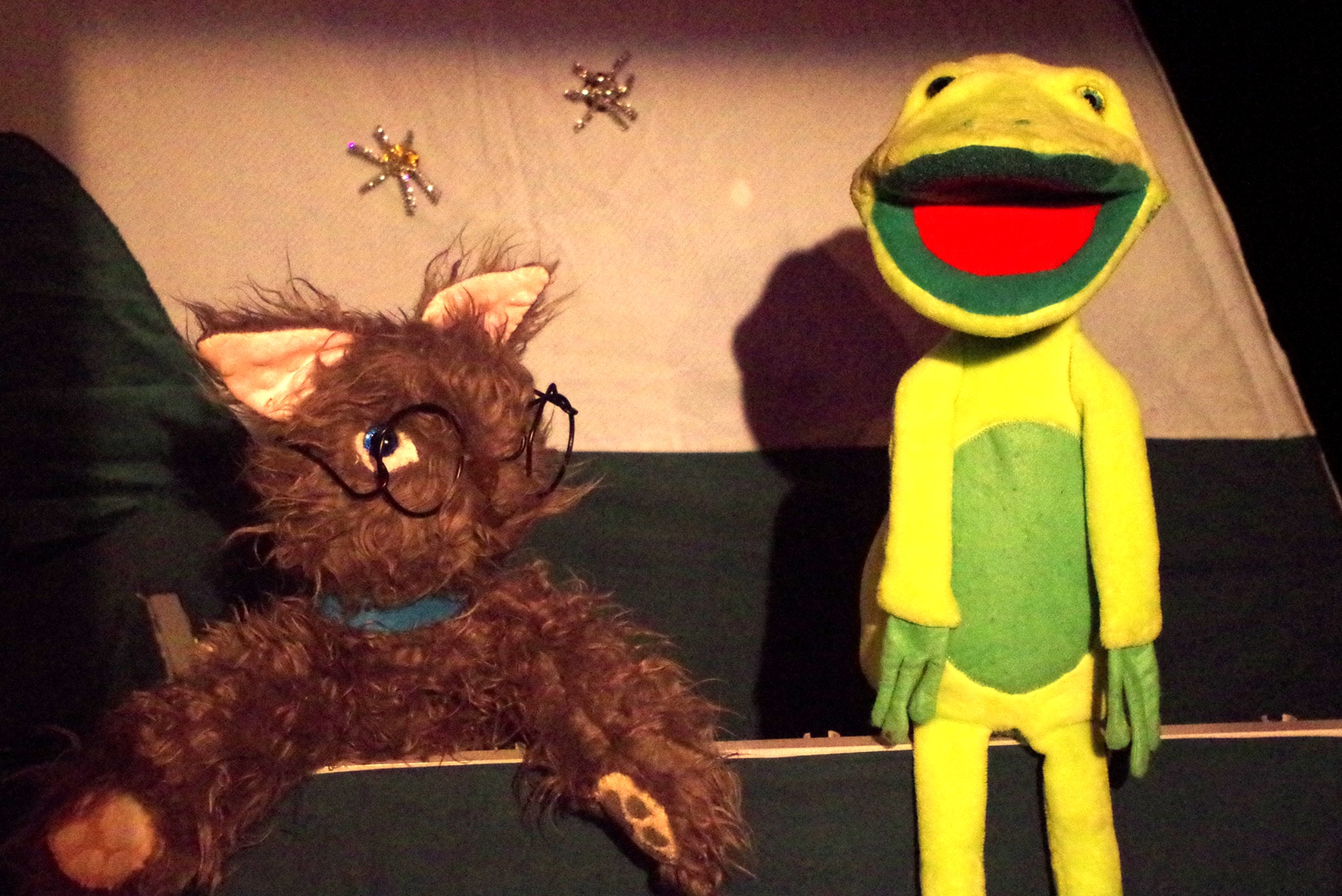 Au Telemac, à Nîmes : chat et grenouille